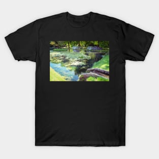 St Fagans Lake T-Shirt